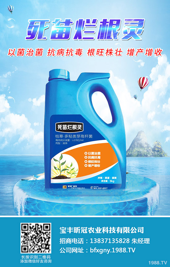 楊梅施肥時間是什么時候，楊梅施肥方法有哪些？