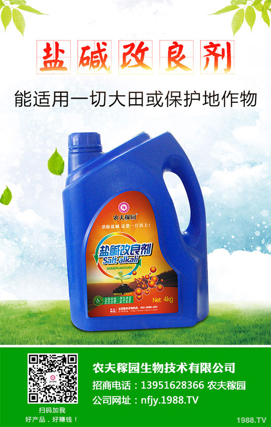 什么是蔓荊子？蔓荊子的功效作用及用法禁忌