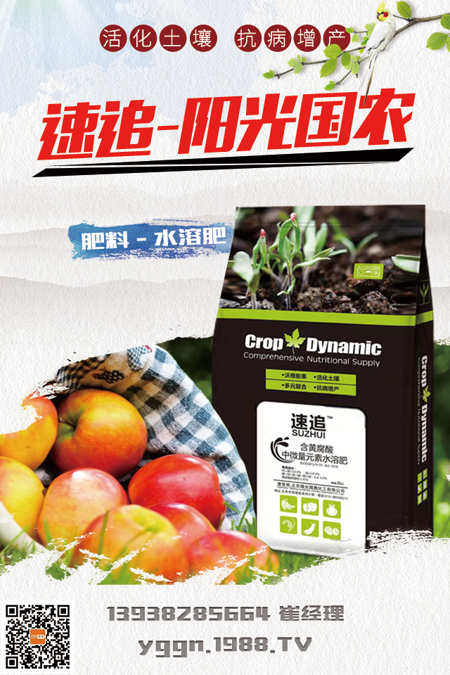     ����ꖹ���r(n��ng)�ٴΔy��1988.TV�����A2020���ل�(chu��ng)�x����