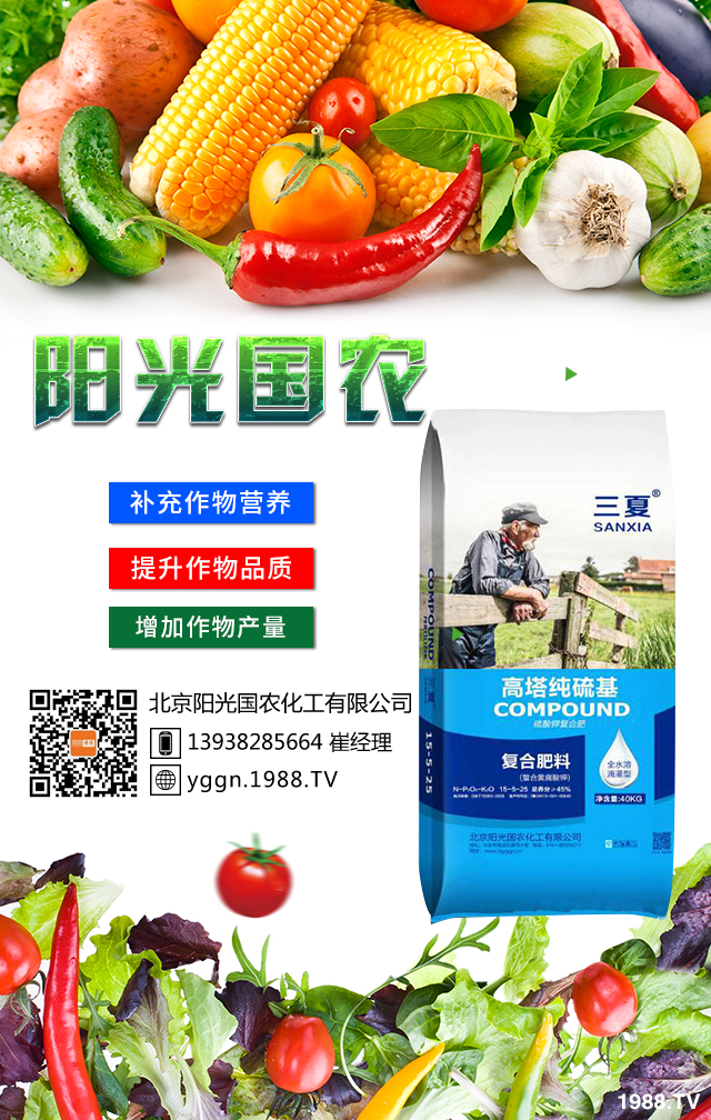     ����ꖹ���r(n��ng)�ٴΔy��1988.TV�����A2020���ل�(chu��ng)�x����