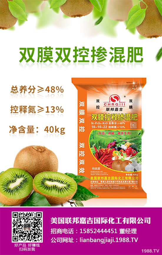 貢菊花該如何栽培？貢菊花高產(chǎn)栽培技術(shù)