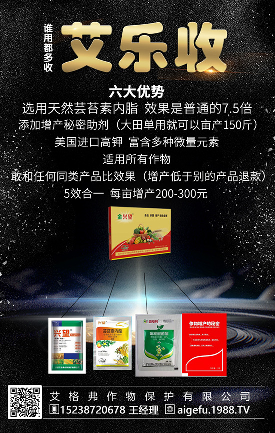 ⛷�С�������҂�һ����������