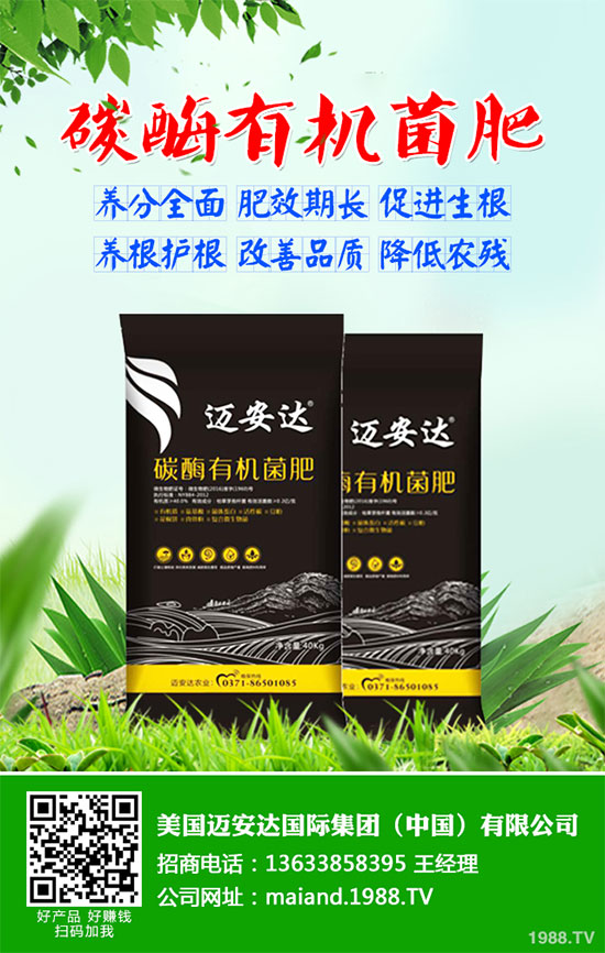 貢菊花該如何選購？貢菊花的常見用法