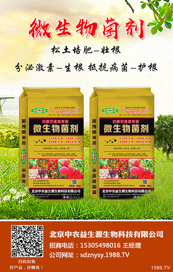     2020年春節(jié)將至蓮藕價(jià)格行情怎樣？種植蓮藕還有前景！效益怎樣？