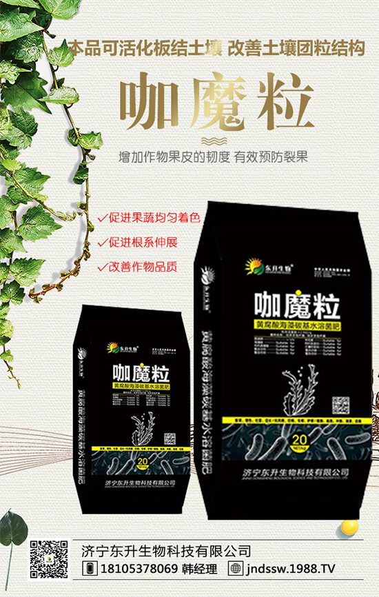 黑玉米價(jià)格多少錢一斤？2020年種植前景及效益分析！