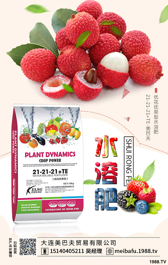 2019-12-19���@�r(ji��)�����f�Ӹ߲��£����؅^(q��)���@���������