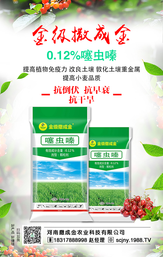 ���Է��ϊZ�����B��������