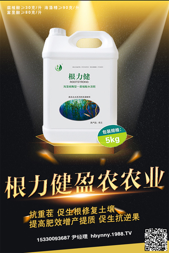     ������ȥ�������_�����_���Ϸ���ע�⡰���ɡ�