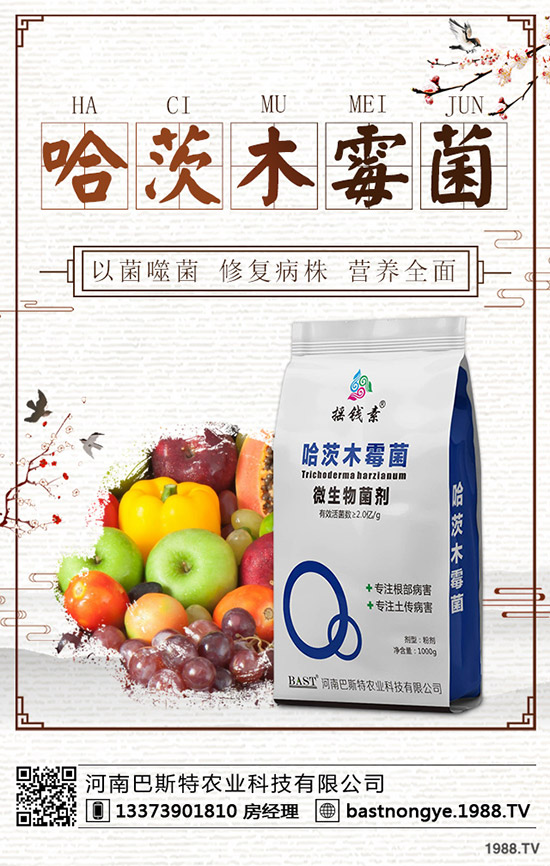 冬儲行情即將啟動！最新鉀肥價格行情預(yù)測2019-12-20