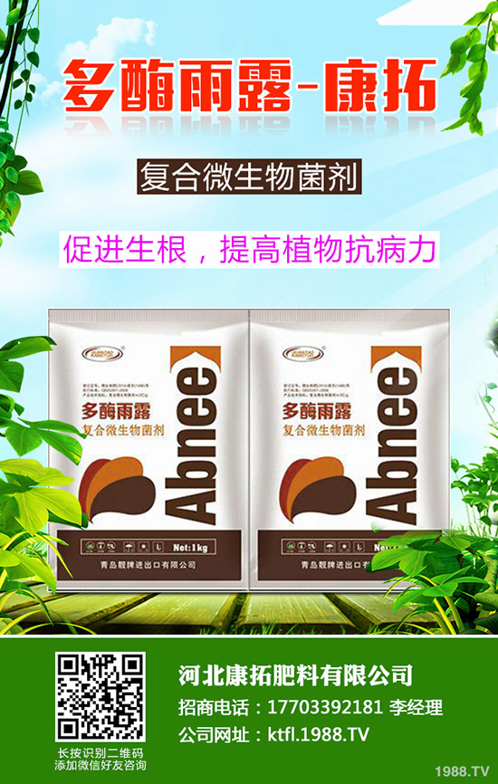 ����ÿ�������X(qi��n)��2019-12-20���ո������؃r(ji��)���߄�(sh��)����