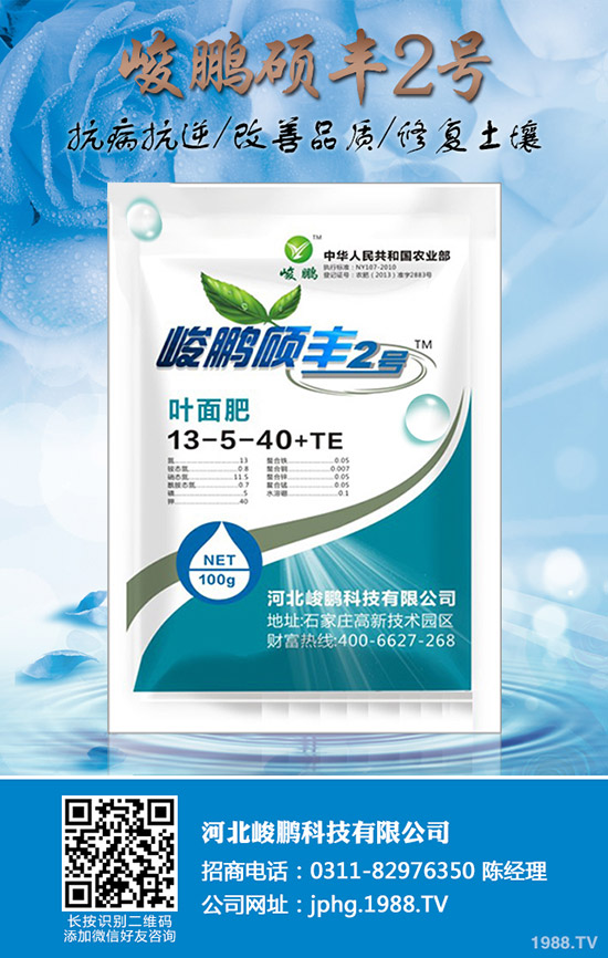 ����Ҫ�q�����ڇ�(gu��)��(n��i)�Ј�(ch��ng)���؃r(ji��)�������߄�(sh��)����2019-12-20