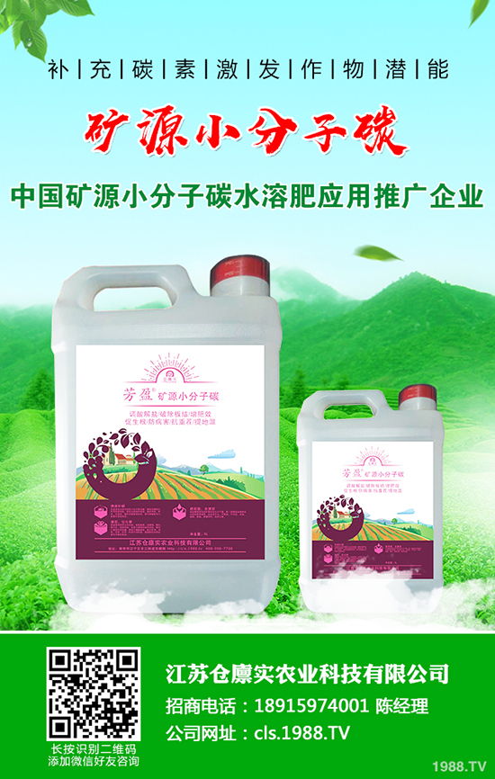 ����������m(x��)������2019-12-21�����������؃r(ji��)�����(b��o)