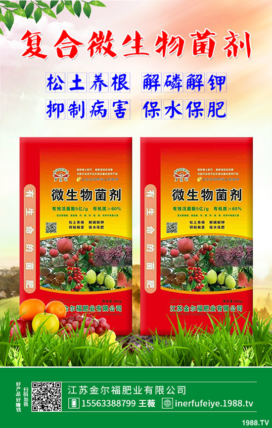     2019��12��23�����؃r(ji��)��������������ո��؅^(q��)�����������S��(b��o)�r(ji��)��