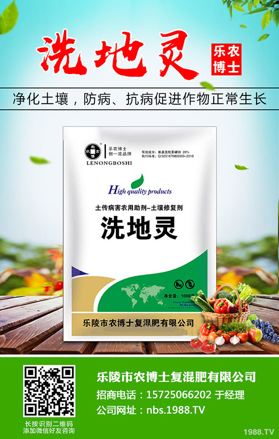 莧菜什么時(shí)候種植，莧菜的種植時(shí)間和方法！