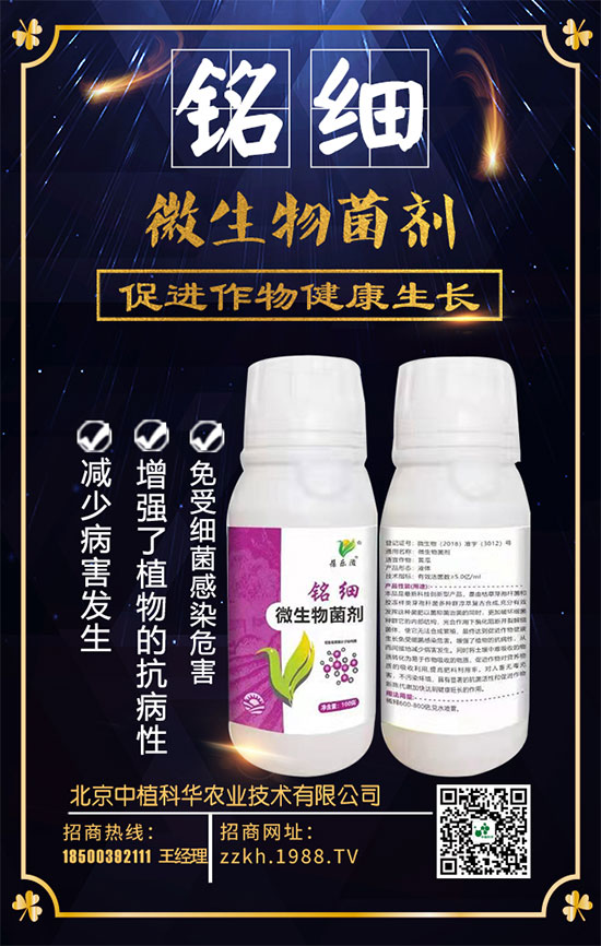 ��ռ�̙C(j��)���������A��������ֲ���A�ٺ�1988.TV���ل�(chu��ng)���x����