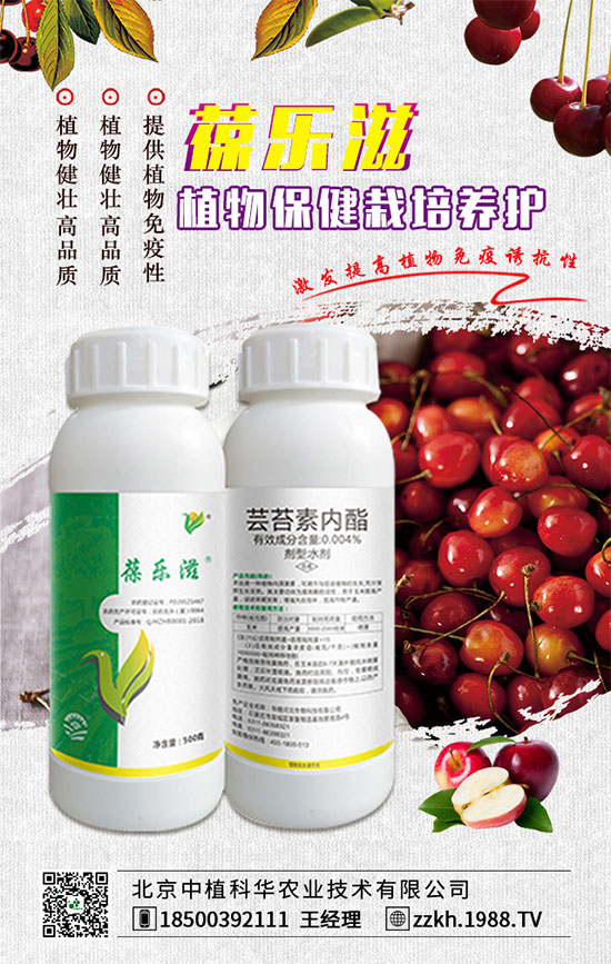 ��ռ�̙C(j��)���������A��������ֲ���A�ٺ�1988.TV���ل�(chu��ng)���x����