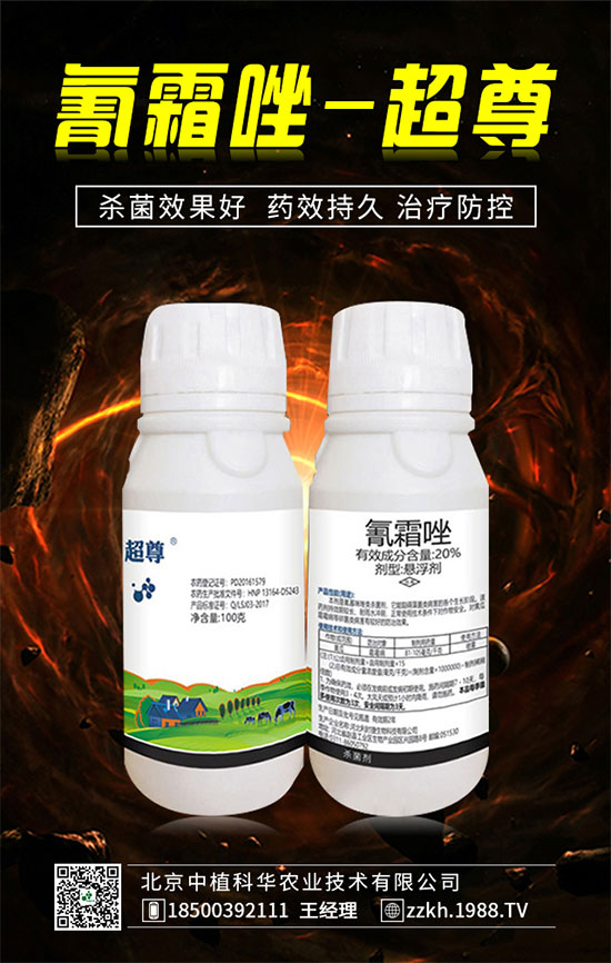 ��ռ�̙C(j��)���������A��������ֲ���A�ٺ�1988.TV���ل�(chu��ng)���x����