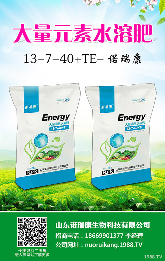     臨近年關！2020年尿素市場行情怎樣變化！最新行情分析！