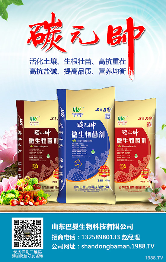     尿素價格小幅度變動！12月24日各地區(qū)尿素主流出廠報價！