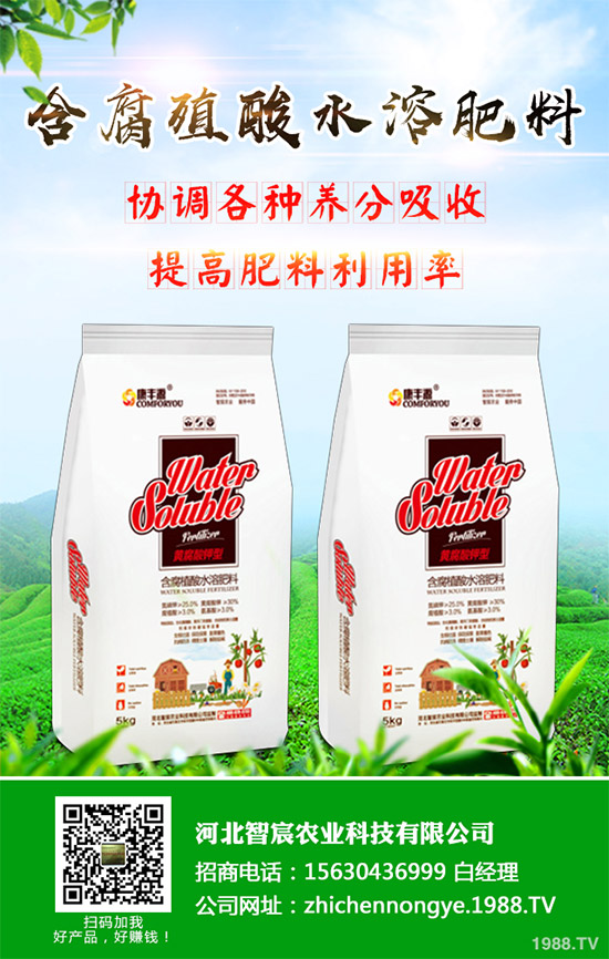 綠花菜該怎么種？綠花菜的高產(chǎn)種植技術(shù)