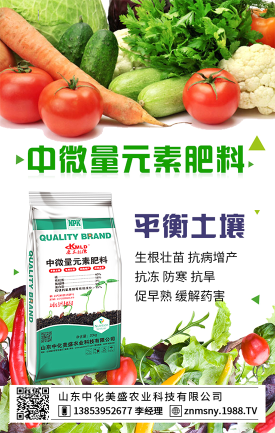 ��乽��ηNֲ����乽�ķNֲ���g(sh��)��