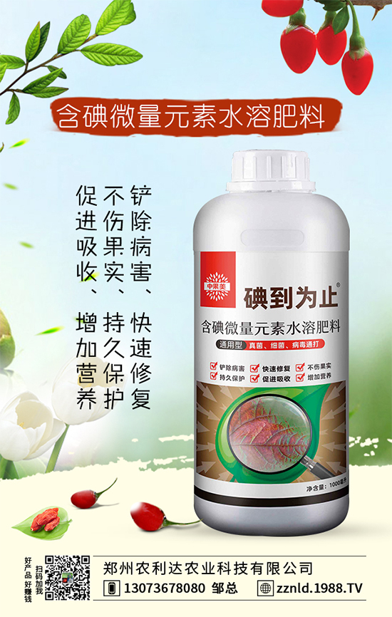 �t�}����ι��������S��������ƌW(xu��)�����҂�֪������