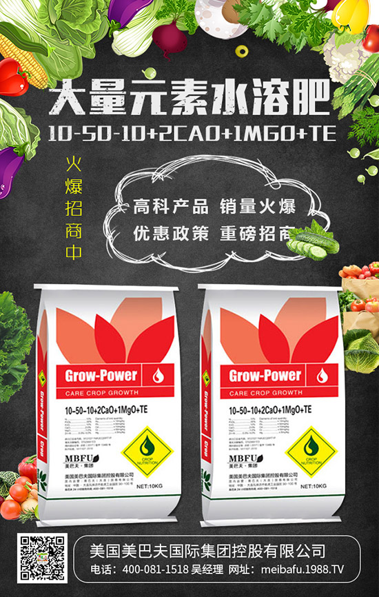     2019���������@��������r��C�Ϸ��������