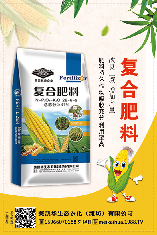     2019�������һ�@��������r(ji��)��C�Ϸ�����(b��o)����