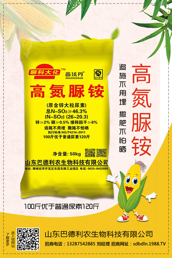     ����⛷�2019�������r��C���u�y������