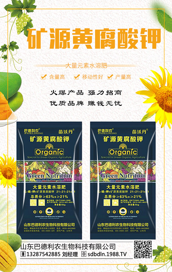     ��(f��)�Ϸ�����q�����F(xi��n)��2019��12��ĩ���r���߄��A(y��)�y��