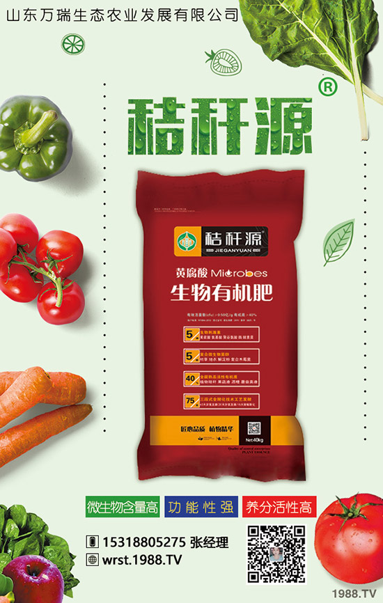     2020�괺��(ji��)������2019�������������r��C�Ϸ�����(b��o)����