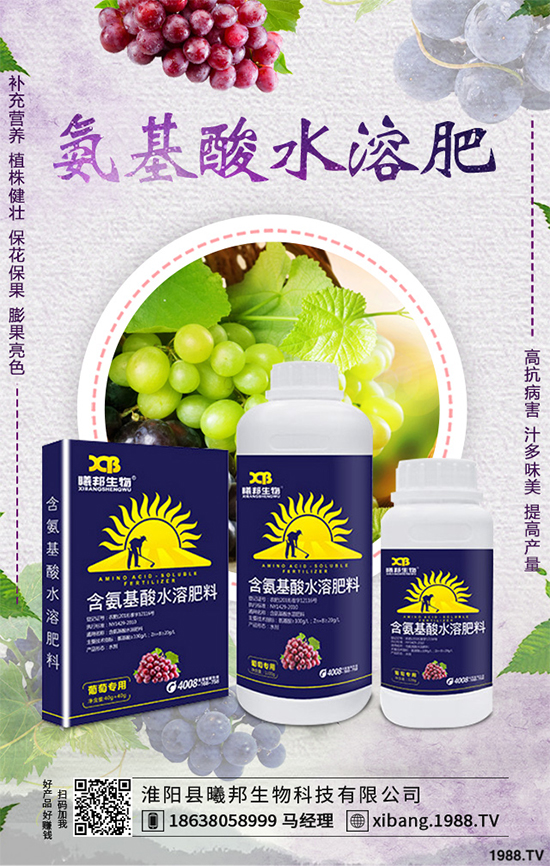 明年種植什么更賺錢？2020年七大賺錢種植項目，快來看看吧！