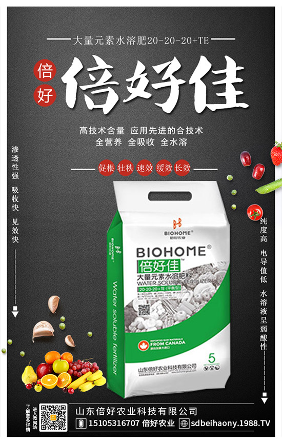     2019葡萄價格低的原因！2020年葡萄種植賺錢么？種植前景及成本分析！