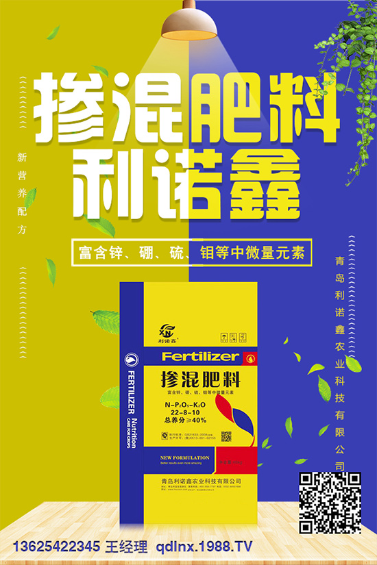 2020�굪�ʵ������A(y��)�y������˽������