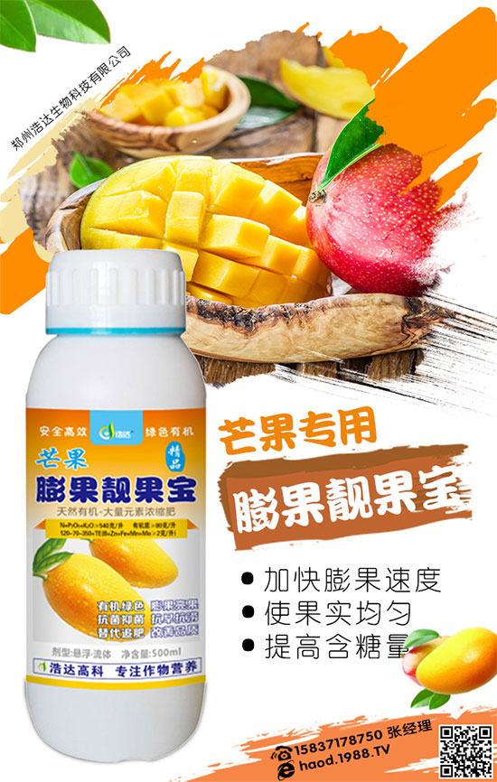 黃皮果的成本與利潤分析，黃皮果的種植技術！