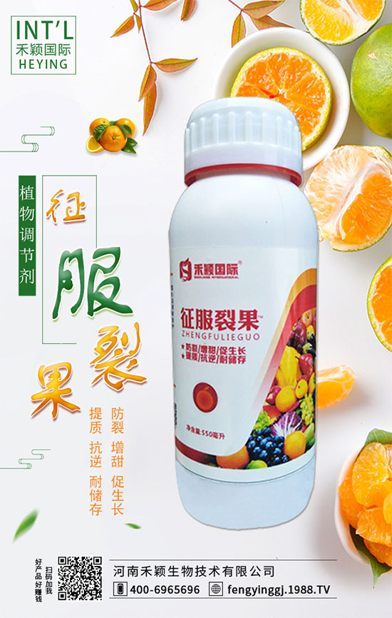 木耳菜什么時(shí)間種植？木耳菜種植方法！