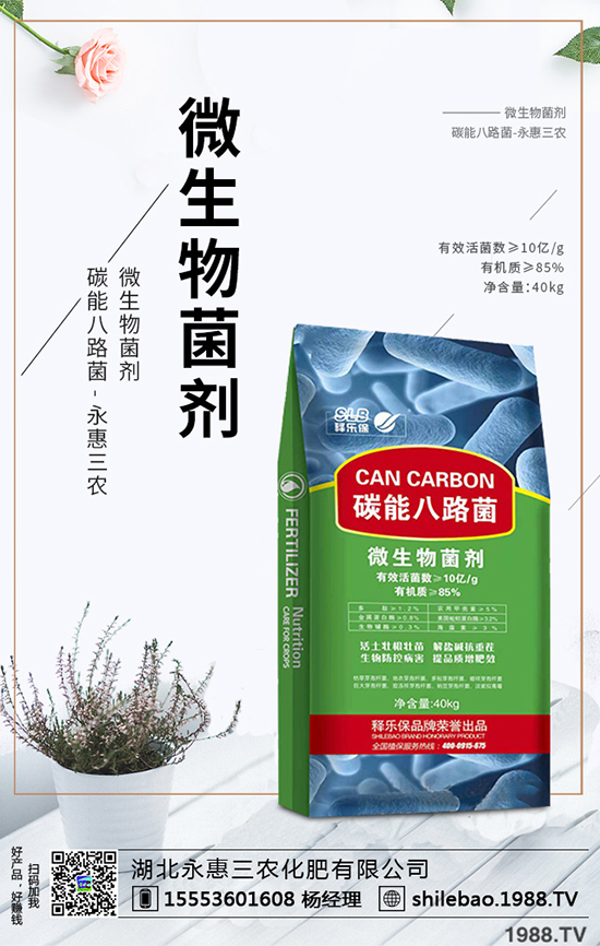 2020����÷�ķNֲǰ����Σ���÷�r������Xһ����