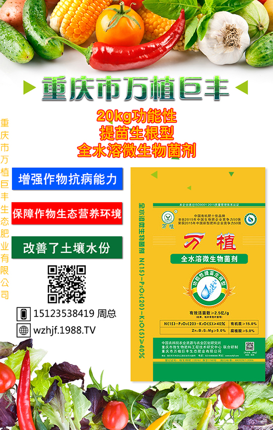 �o(w��)�O��̫�O��̫�O���Ƀx��������ʩ��Ҳ��(hu��)�������ˡ�