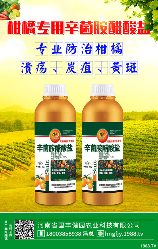 �����Ѿ���