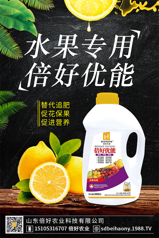 木耳菜有哪些營養(yǎng)價(jià)值？木耳菜的功效作用