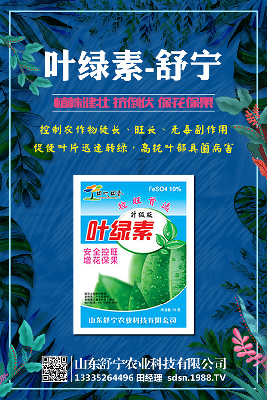 小南瓜對環(huán)境條件有什么要求？小南瓜高產種植要點！