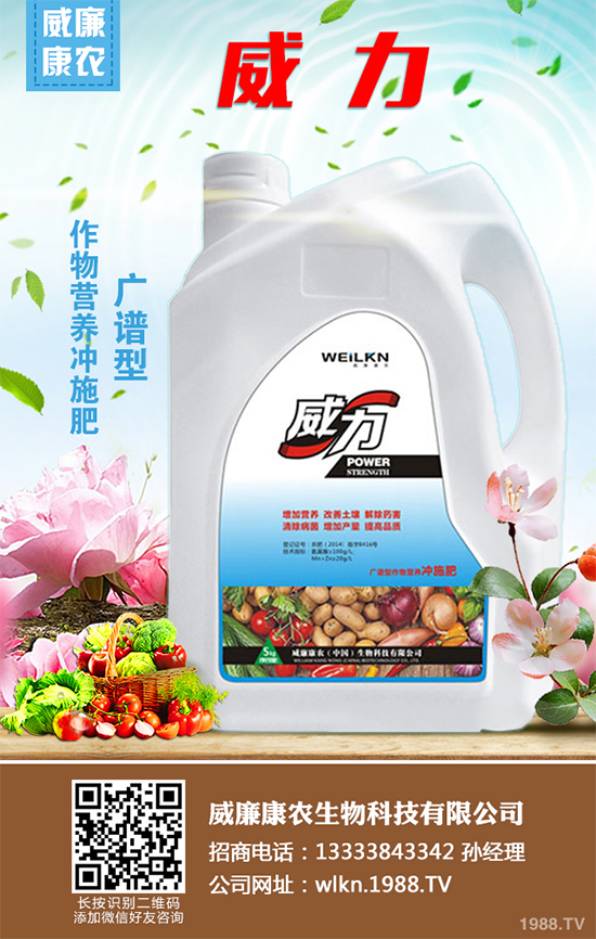     木耳菜不僅好吃而且營養(yǎng)豐富，它含有極其豐富的營養(yǎng)元素，特別是鈣、鐵等元素的含量非常的高，下面小編就為大家講述一下木耳菜的采收方法，一起來看看吧！