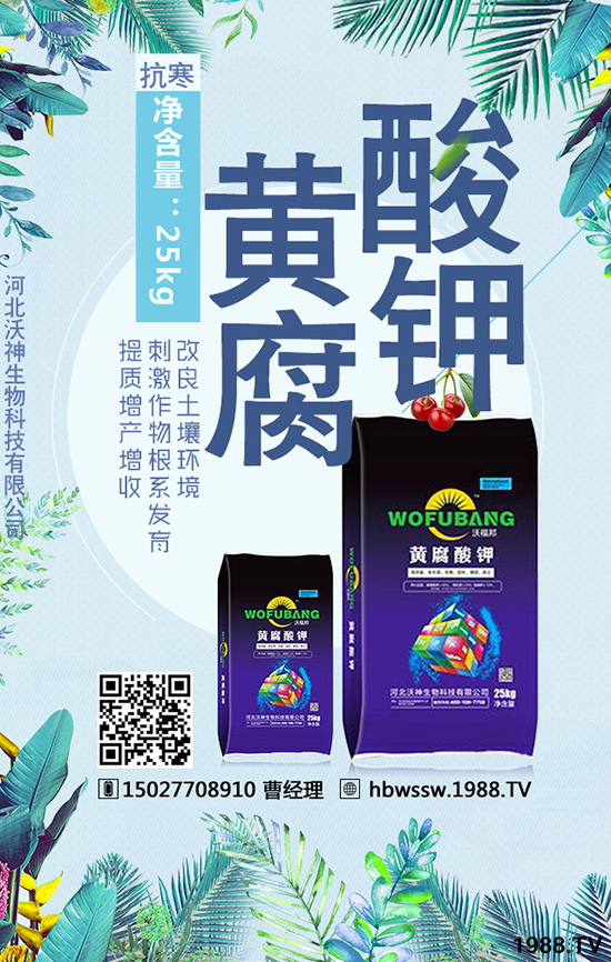 ��������Ч�ı��|(zh��)�چ�����������c(di��n)�M(j��n)�������a(ch��n)����