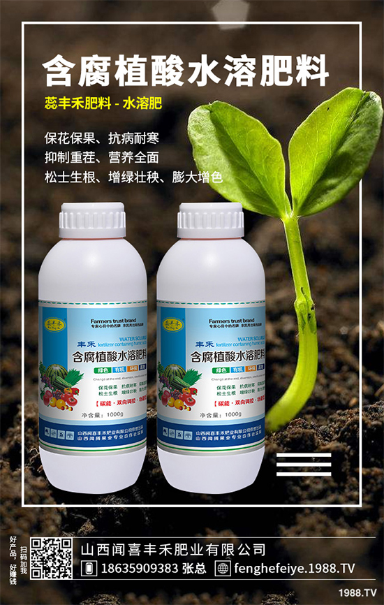 盆栽蔬菜該怎么種？盆栽蔬菜的高產(chǎn)種植技術(shù)