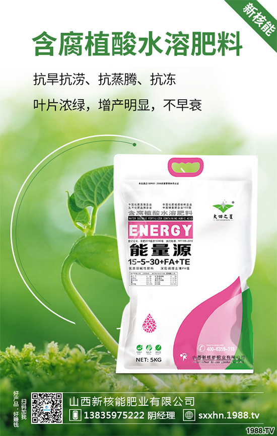 盆栽蔬菜該怎么種？盆栽蔬菜的高產(chǎn)種植技術(shù)