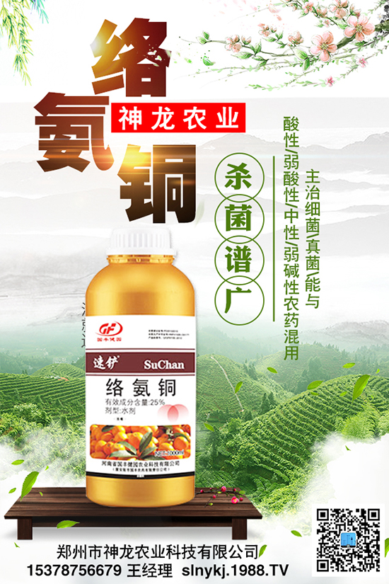 ���Ϻò������|(zh��)�����P(gu��n)�I��Ч���������������Ҫ��