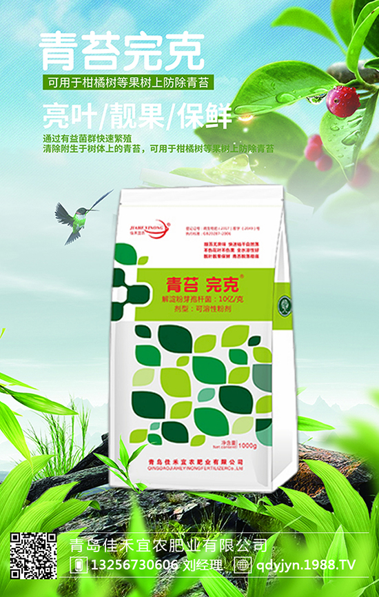 8�N���ϡ����ƈF(tu��n)�����ۂ������^�׷N����