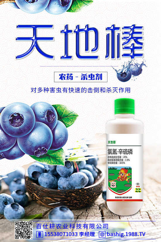 空心菜用什么肥好，空心菜的施肥技巧有哪些？