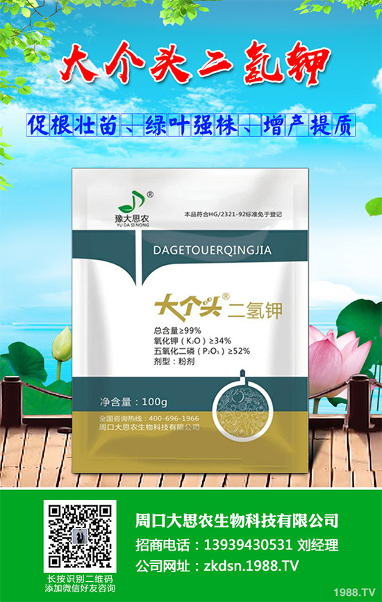 洋薊該如何種植？洋薊高產(chǎn)種植技術(shù)方案