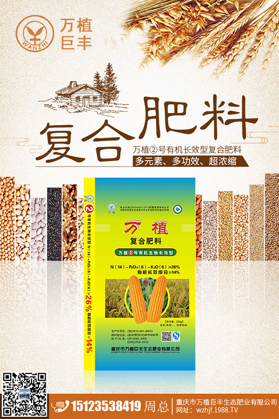 洋薊該如何種植？洋薊高產(chǎn)種植技術(shù)方案